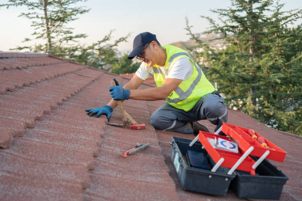 Best Metal Roofing Contractor  in Riverse, ID