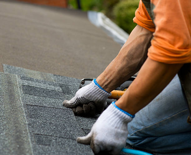 Best Metal Roofing Contractor  in Riverse, ID